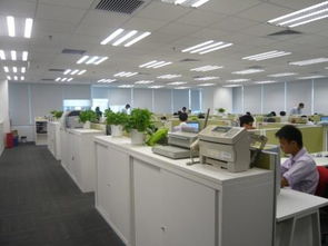 以专业评估驱动卓越服务 戴德梁行的物业服务理念与实践